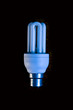 Foto: Energy efficient light bulb Energy efficient light bulb