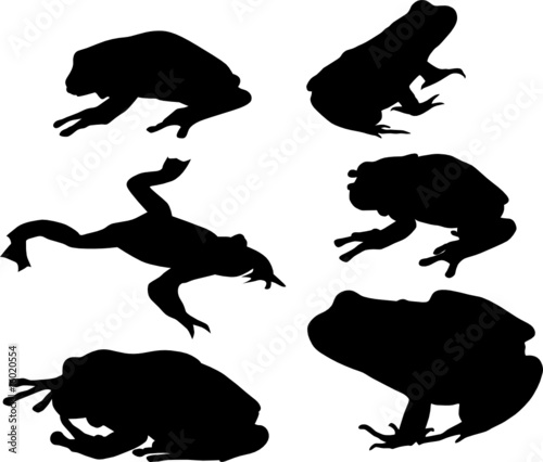 Six Frog Silhouettes Stock Image And Royalty Free Vector Files On