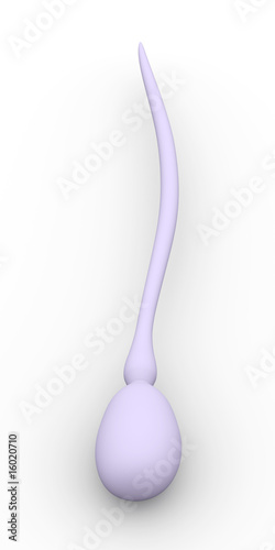 Illustration: Sperma Zelle Sperma Zelle