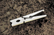 Clothes peg