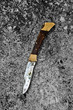 Penknife