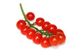Tomates cerise
