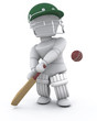 man playing cricket
