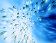 sparkling bubbles