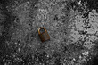 Padlock