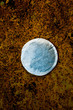 Tea bag