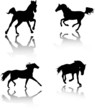 horses silhouettes