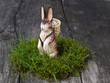 Ostern, Dekoration, Ostern, Dekoration,