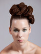 Elaborate hairstyle