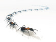 3d ants line on white isolated surface