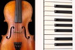 violin and piano keys