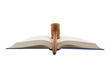 Gavel and legal book isolated
