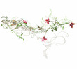 Floral background