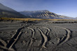 Mt. Bromo volcano, Sea of Sand.