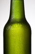 beer bottle