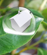 Maison blanche lumineuse dans goutte d'eau Maison blanche lumineuse dans goutte d'eau