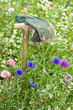 Arbeitshandschuhe in Wildwiese