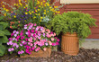 Garden Planters