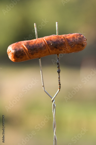 Photo: Grilled Hot dog Grilled Hot dog