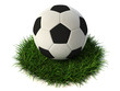 Soccer ball on grass isolated on white background Soccer ball on grass isolated on white background