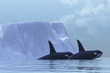 ORCA