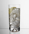 Beverage indoors with lemon slice and ice