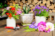 Terrasse Garten Blumen Holz Schere