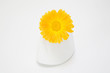 Calendula in vase, close-up