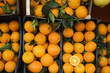 Oranges in crates, market stall, elevated view