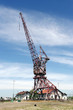 vielle grue