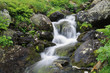 Sweden, Sarek National Park, Mountain stream