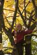 Boy (10-12) sitting in tree