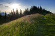 Allgäuer Abendstimmung 2