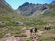 Corse, GR 20 (étape 6), la vallée du Golo