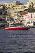 ITALY, Campania, Procica island