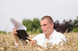 Agriculture scientist in the field.