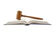 Gavel and legal book isolated Gavel and legal book isolated