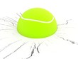 three dimensional tennis ball
