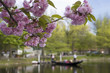 Gondola in the park