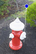 Foto: High angle view of a fire hydrant High angle view of a fire hydrant
