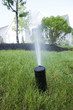Water being sprayed from a sprinkler in a lawn