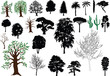 Vector trees