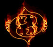 Collection of zodiac signs engulfed in fire