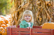 Little Girl in Wagon at the Pumpkin Patch