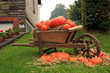 Decorations of the pumpkin