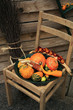 Decorations of the pumpkin