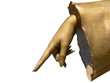gold women's hand  pointing down