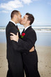 Gay wedding