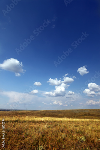 Photo: Blue sky and gold field. Blue sky and gold field.