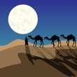 Caravane